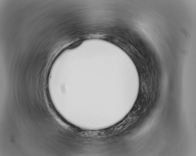 X0000111380049200908211349