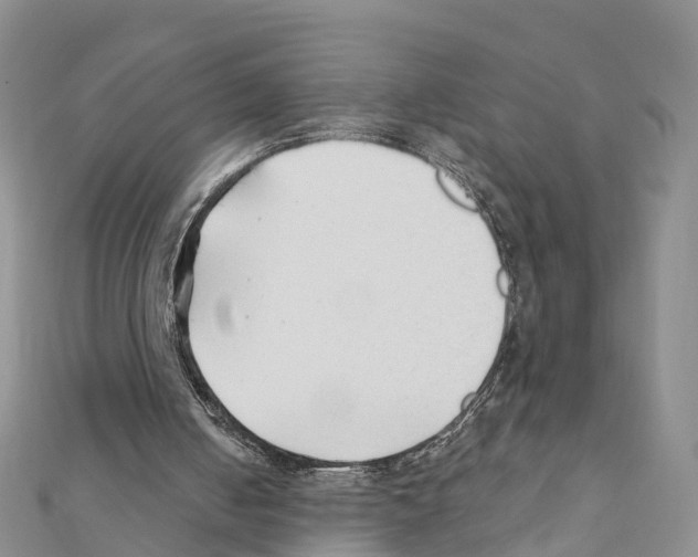 X0000111380050200908211349