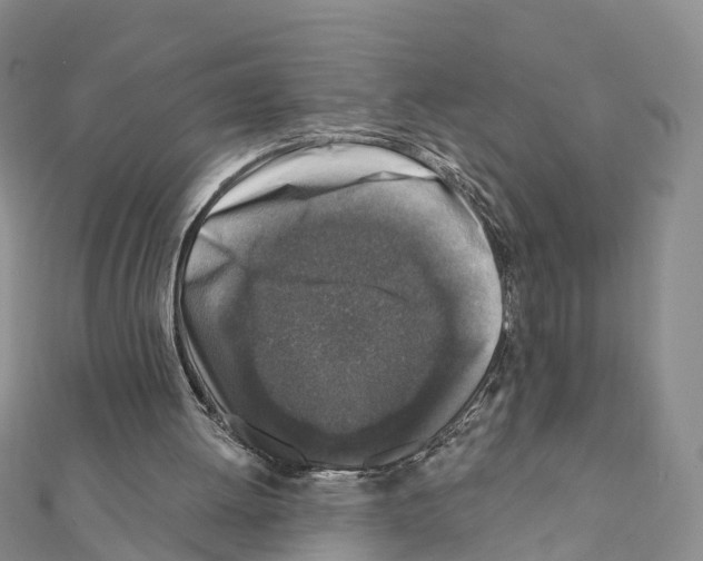 X0000111380052200908211349