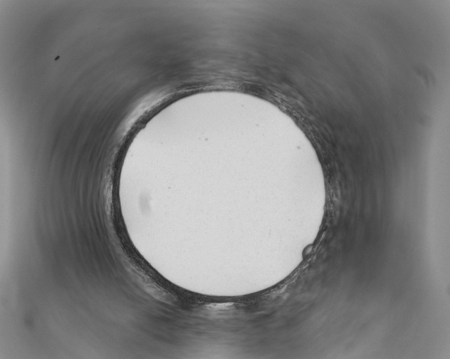 X0000111380054200908211349