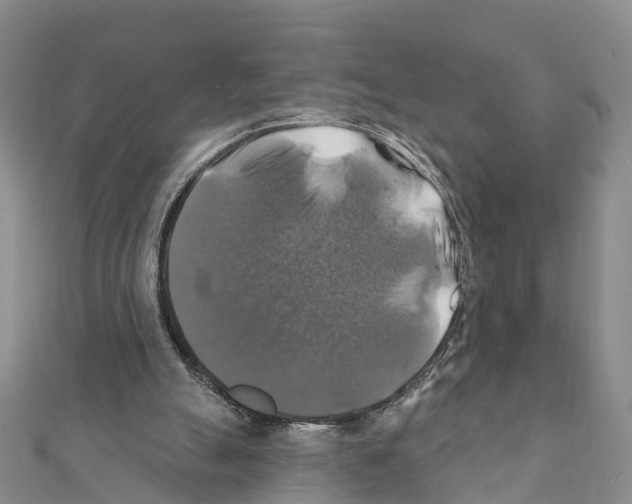 X0000111380055200908211349