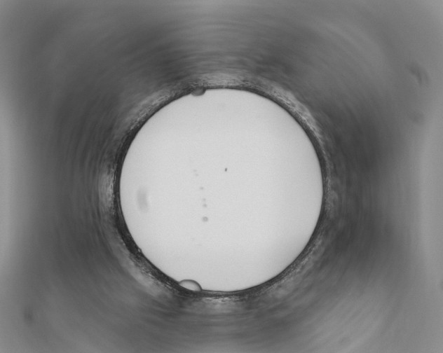 X0000111380057200908211349