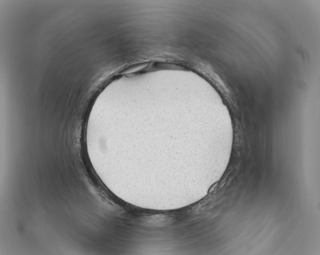 X0000111380058200908211349