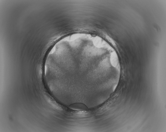 X0000111380059200908211349