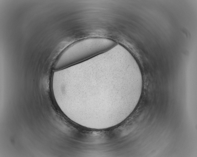 X0000111380060200908211349