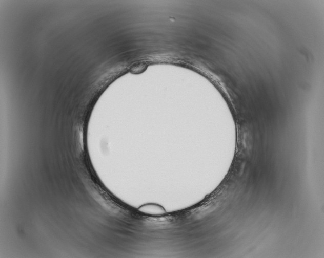 X0000111380061200908211349