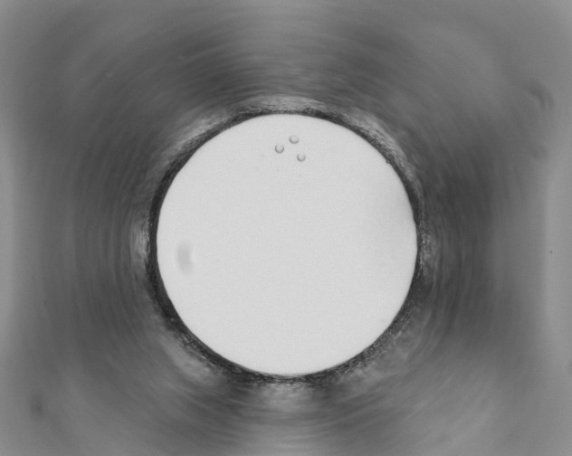 X0000111380063200908211349