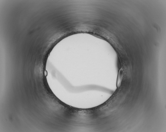 X0000111380064200908211349