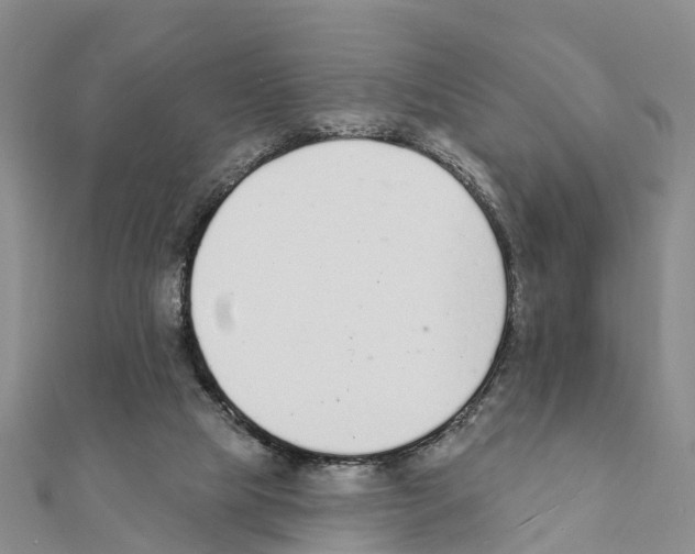 X0000111380065200908211349