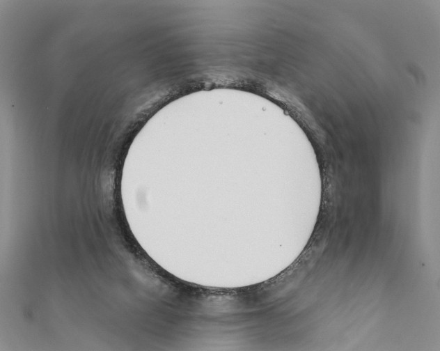 X0000111380066200908211349