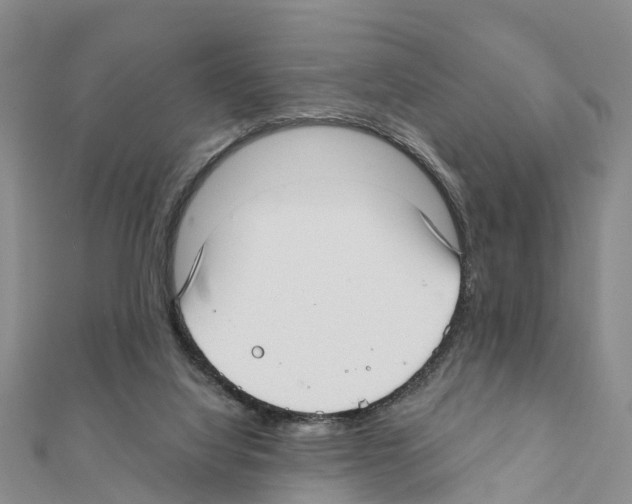 X0000111380068200908211349