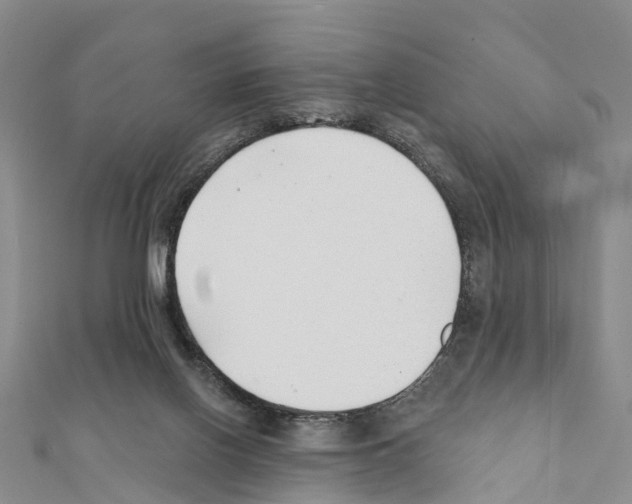 X0000111380070200908211349