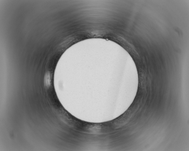 X0000111380075200908211349