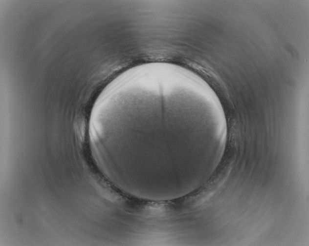 X0000111380076200908211349