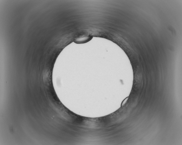 X0000111380079200908211349