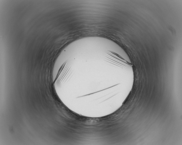 X0000111380080200908211349