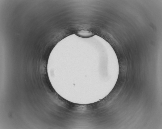 X0000111380083200908211349