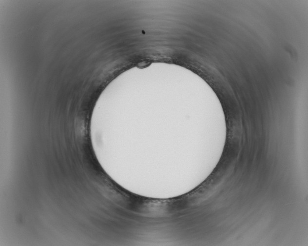 X0000111380084200908211349