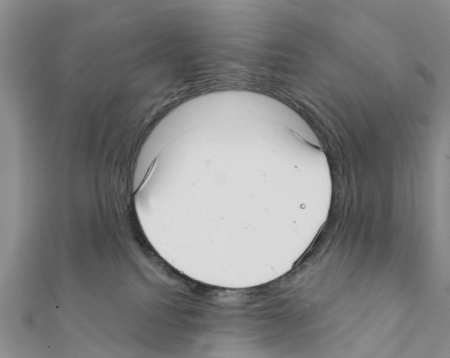 X0000111380088200908211349