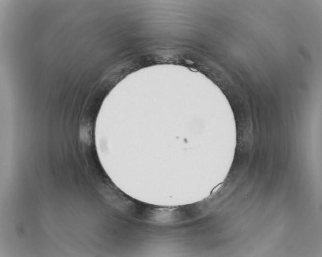 X0000111380090200908211349