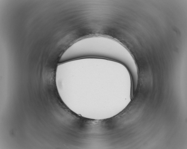 X0000111380092200908211349