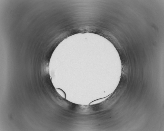 X0000111380095200908211349