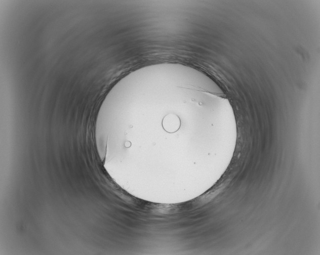 X0000111380096200908211349