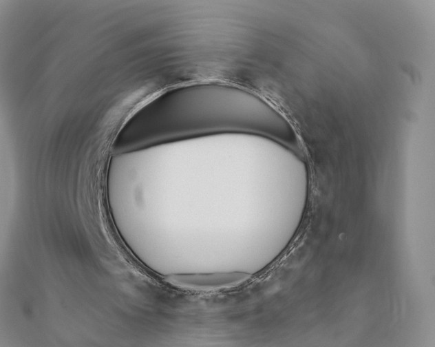 X0000111380097200908211349