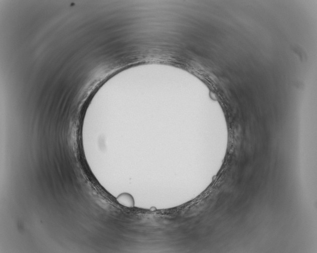 X0000111380098200908211349