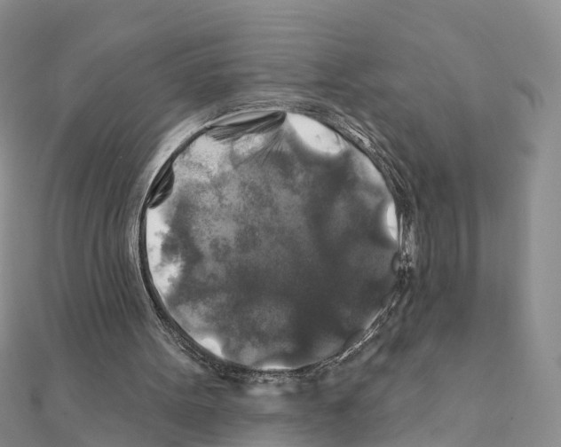 X0000111380099200908211349