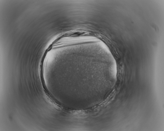 X0000111380100200908211349