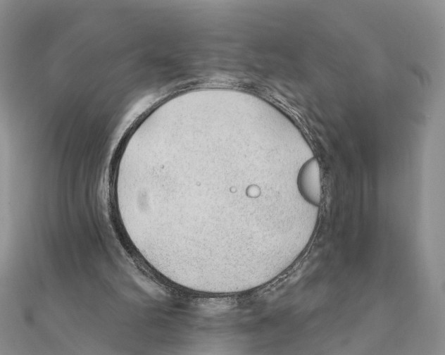 X0000111380102200908211349