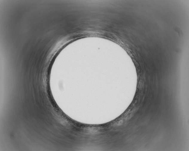 X0000111380103200908211349