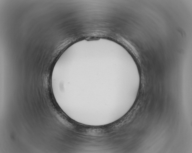 X0000111380105200908211348