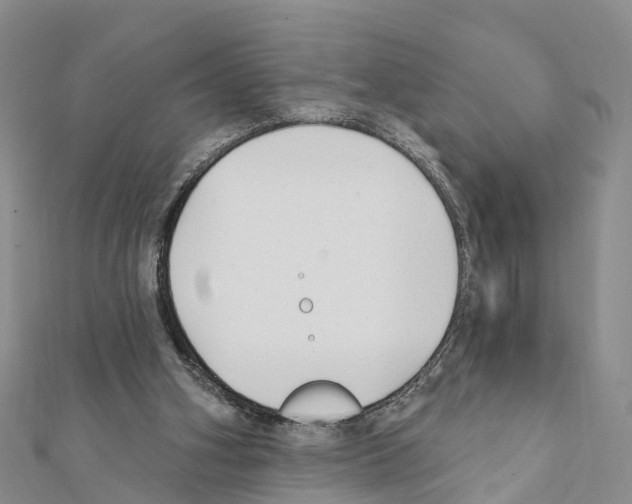 X0000111380106200908211348