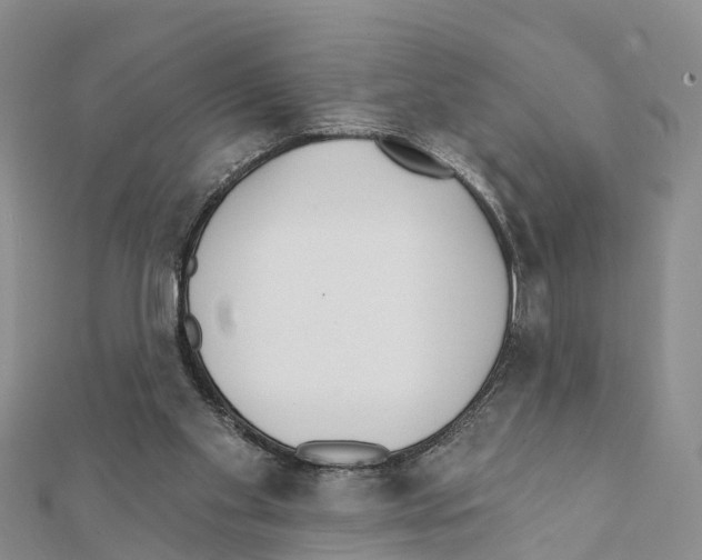 X0000111380109200908211348