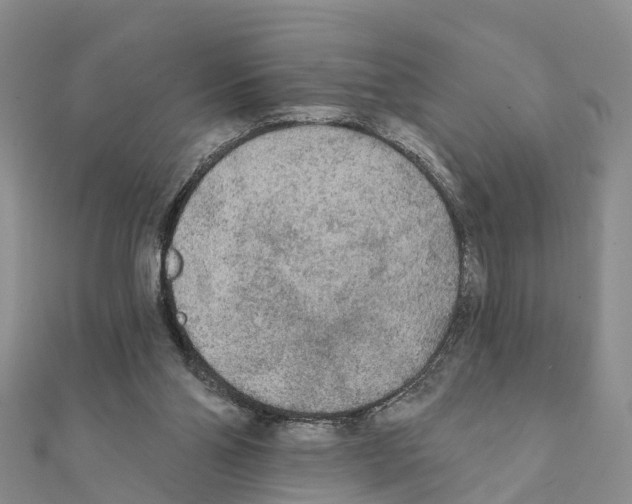 X0000111380110200908211348