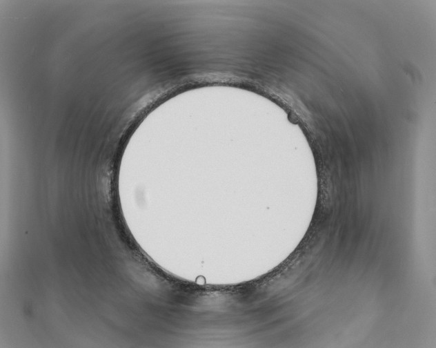 X0000111380111200908211348