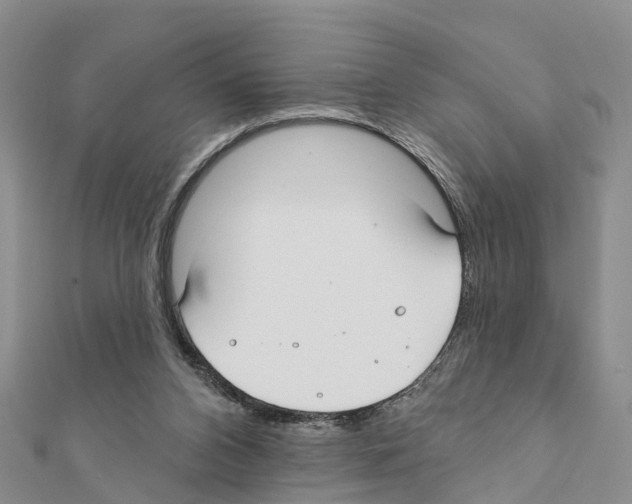 X0000111380112200908211348