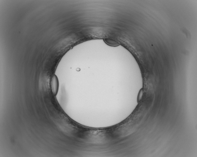 X0000111380117200908211348