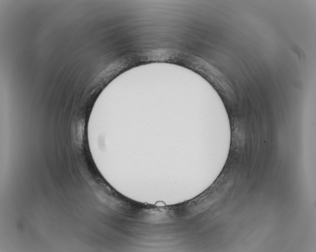 X0000111380118200908211348