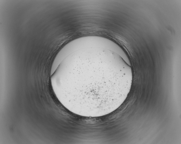 X0000111380121200908211348