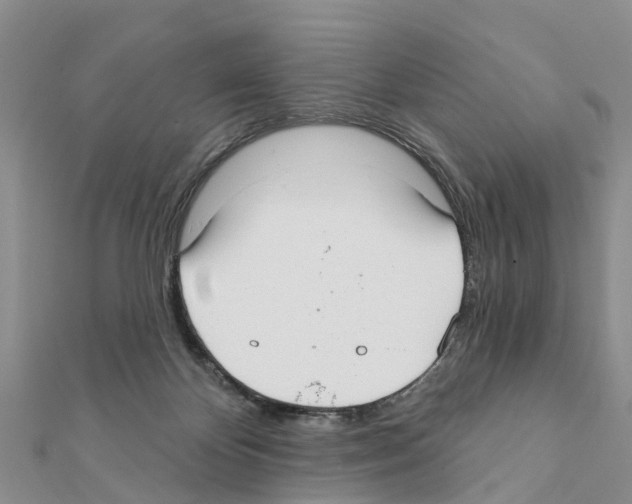 X0000111380124200908211348