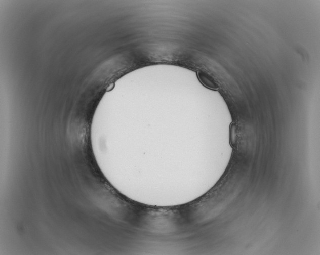 X0000111380125200908211348