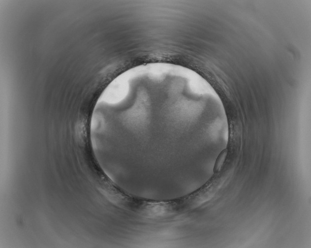 X0000111380127200908211348