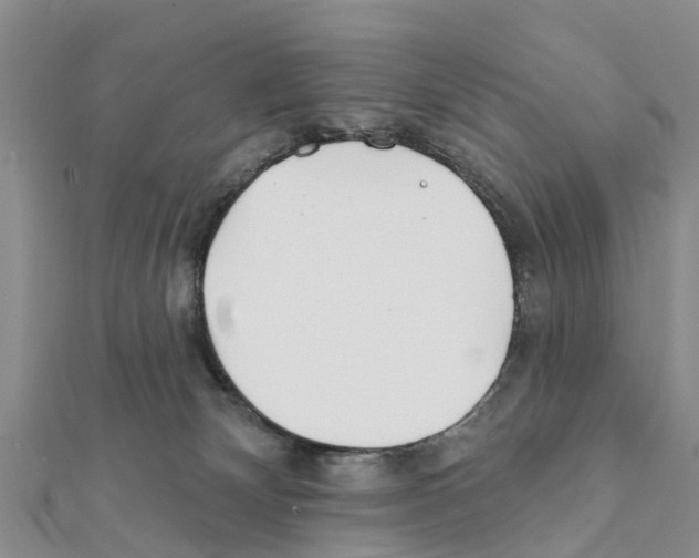 X0000111380132200908211348