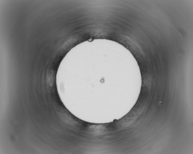 X0000111380133200908211348