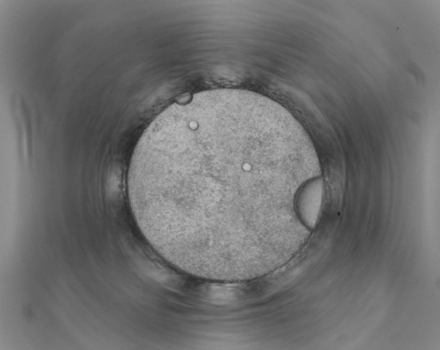 X0000111380134200908211348