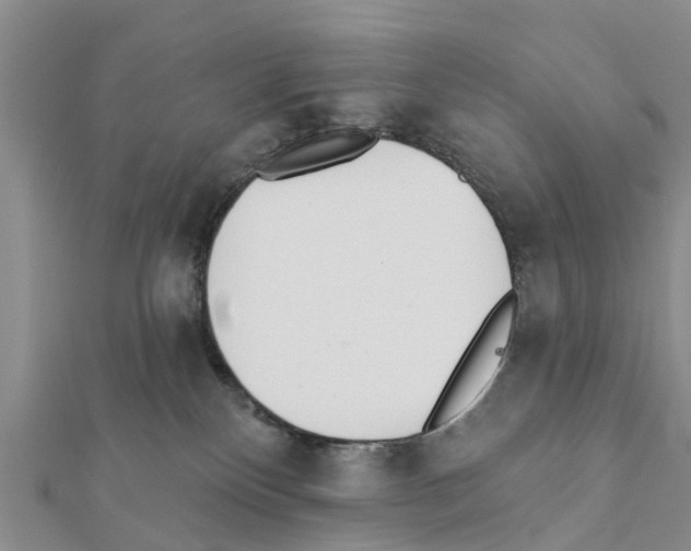 X0000111380136200908211348