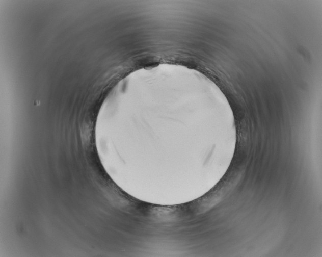 X0000111380139200908211348